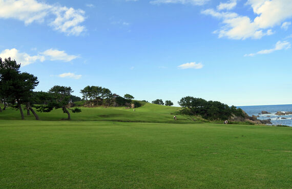 人工芝施工を承っている岐阜の業者はメンテナンスフリーの人工芝をご用意