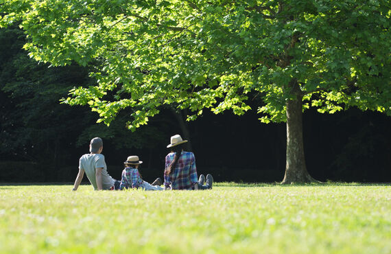 人工芝施工を承る岐阜の業者はプロの技術で高品質な仕上がりを提供します