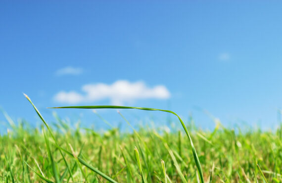 人工芝施工の依頼を大垣でお考えの方は見積もり無料の業者へご相談ください